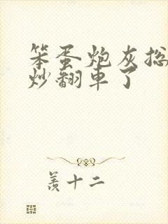 笨蛋炮灰总被爆炒翻车了