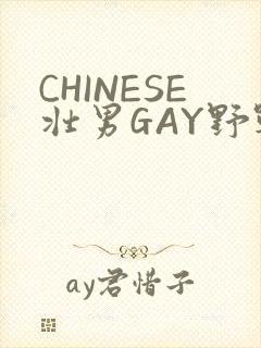 CHINESE壮男GAY野战强迫TUBE