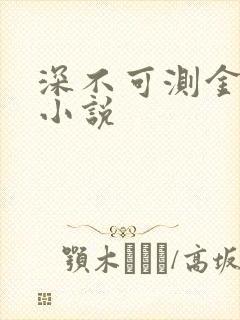 深不可测金银花小说