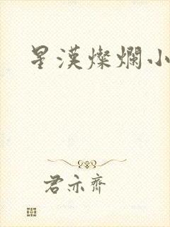 星汉灿烂小说