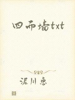 四面墙txt