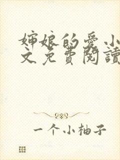 婶娘的爱小说全文免费阅读