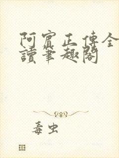 阿宾正传全文阅读笔趣阁