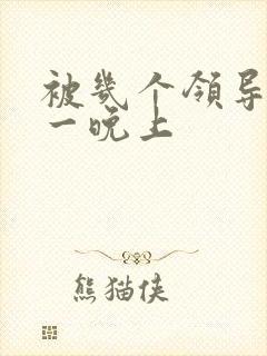 被几个领导玩弄一晚上