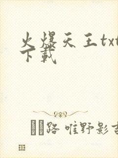 火爆天王txt下载