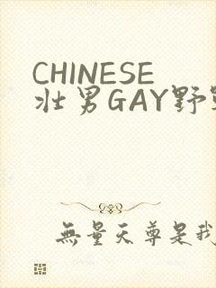 CHINESE壮男GAY野战强迫TUBE