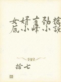 女婿有劲枪枪到底小峰小说