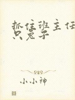 抓住班主任的两只兔子