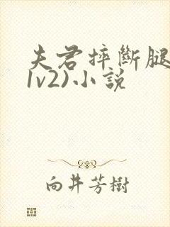 夫君摔断腿后(1v2)小说
