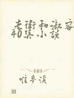 老卫和淑容1-40集小说