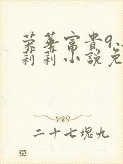 荣华富贵9小王莉莉小说免费阅读