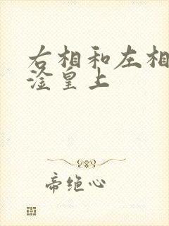 右相和左相一起淦皇上