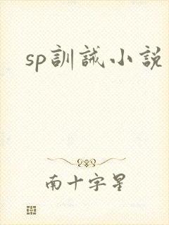 sp训诫小说
