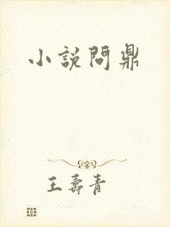 小说问鼎