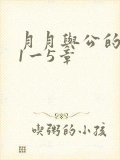 月月与公的激情1一5章