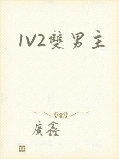 1V2双男主