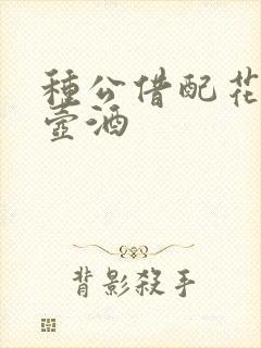 种公借配花间一壶酒