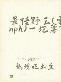 最佳野王(电竞nph)一坨薯饼