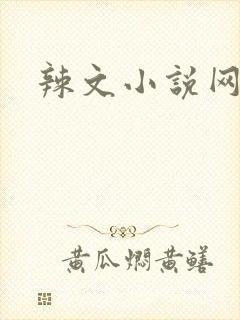 辣文小说网