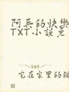 阿兵的快乐生活TXT小说免费阅读全章