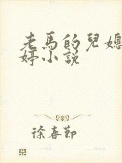 老马的儿媳顾婉婷小说