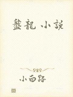盘龙 小说
