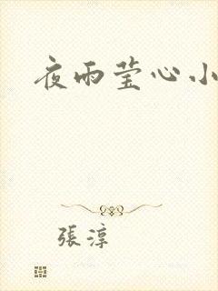 夜雨莹心小说