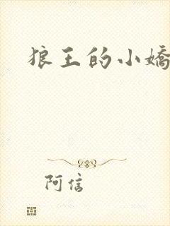 狼王的小娇妻