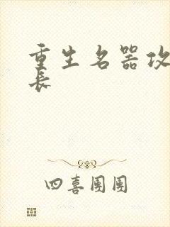 重生名器攻略兄长