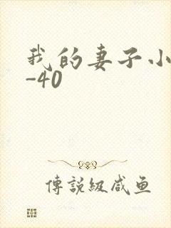 我的妻子小谨1-40