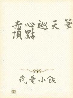 赤心巡天笔趣阁顶点