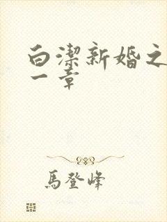 白洁新婚之夜第一章
