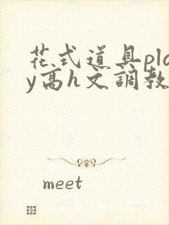 花式道具play高h文调教