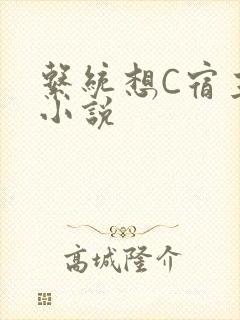 系统想C宿主的小说