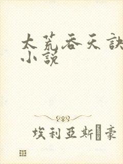 太荒吞天诀免费小说