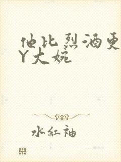 他比烈酒更撩BY大婉