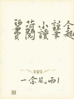 碧荷小说全文免费阅读笔趣阁