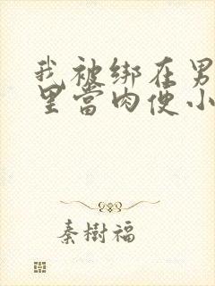 我被绑在男公厕里当肉便小说