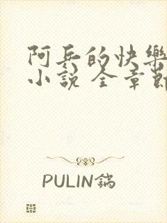 阿兵的快乐生活小说 全章节阅读免费