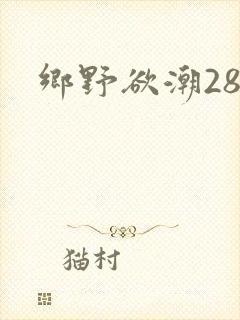 乡野欲潮28章