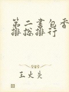 第二书包香辣肉排总排行