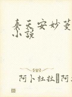 秦天安妙菱修仙小说