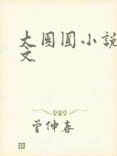 大团圆小说集全文