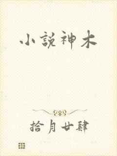 小说神木