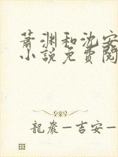 萧渊和沈安安的小说免费阅读