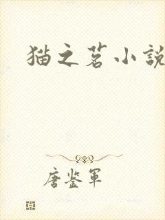 猫之茗小说