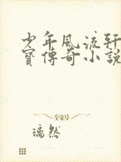 少年风流轩辕大宝传奇小说