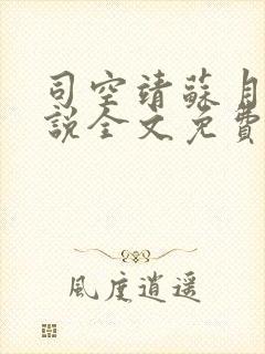 司空靖苏月汐小说全文免费阅读