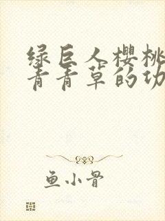 绿巨人樱桃荔枝青青草的功效