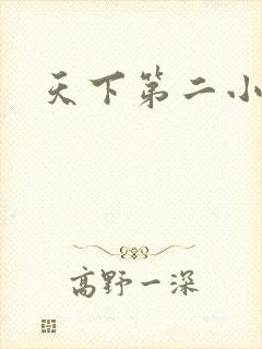 天下第二小说